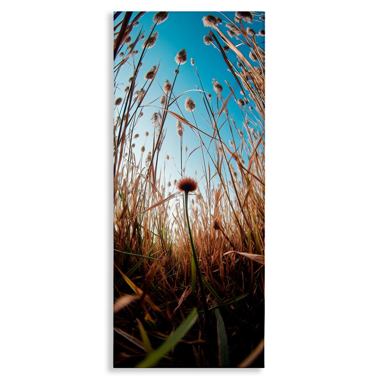 Stupell Industries Daydream Botanical Meadow Canvas, design by Decent Exposures
